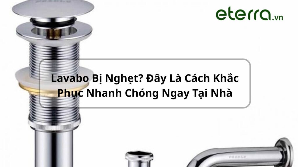 xi-phong-chau-lavabo-eterra-7