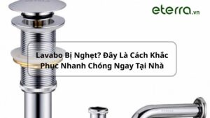 xi-phong-chau-lavabo-eterra-7