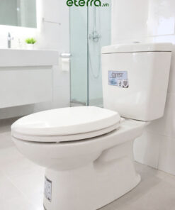 Bồn cầu 2 khối V113
