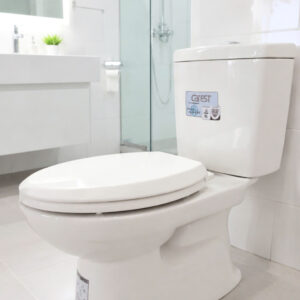 Bồn cầu 2 khối V113